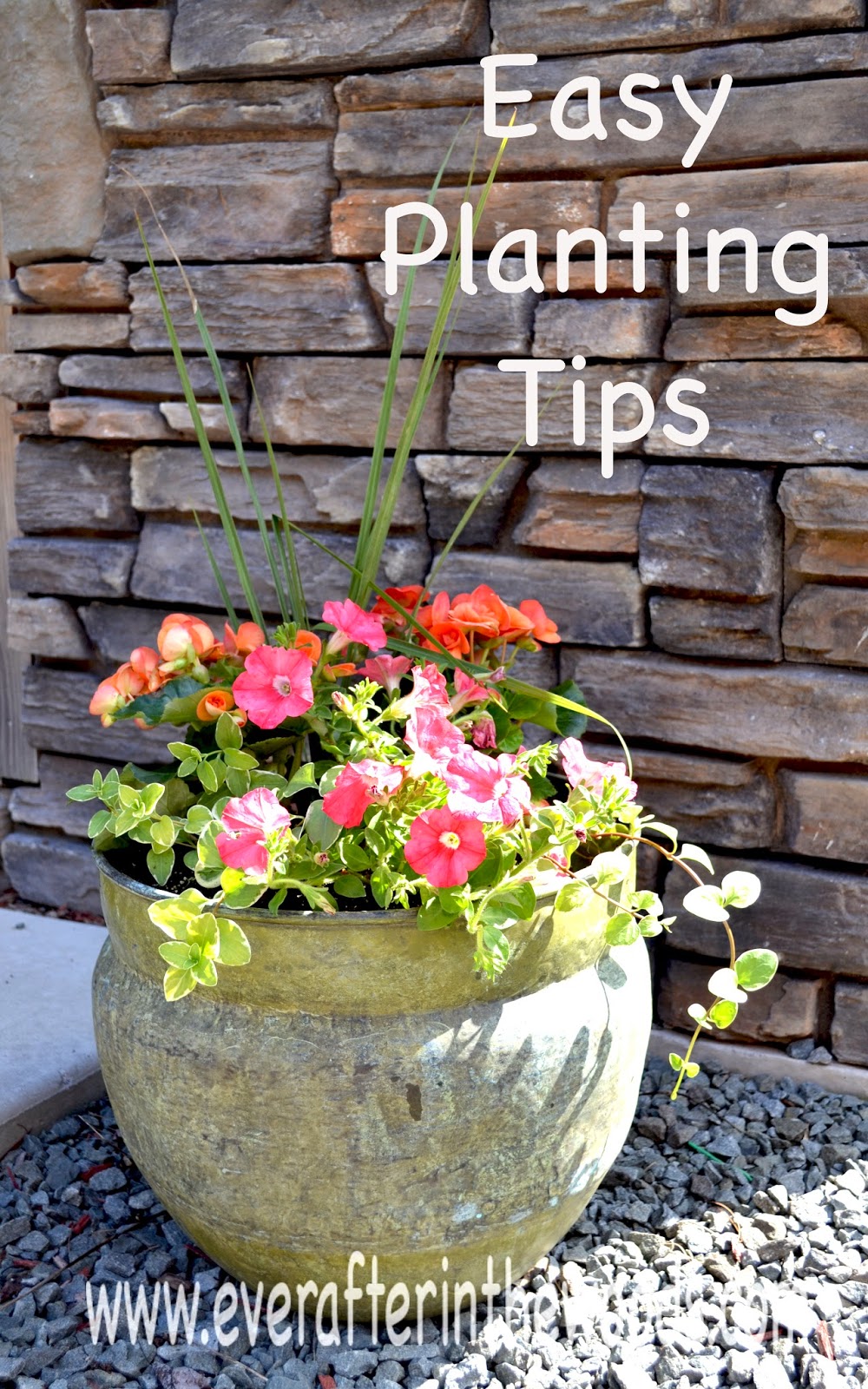 Spring ideas for gardening